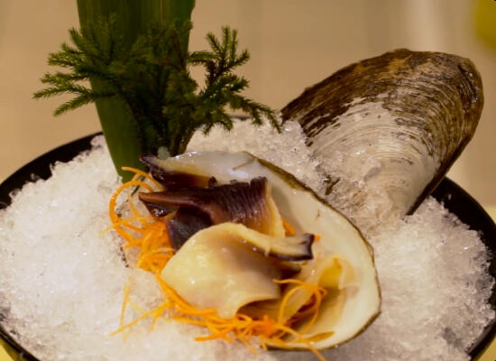 Clam Clam